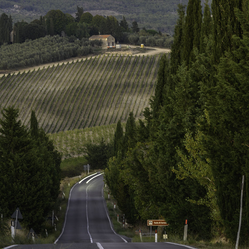 Rolling Hills of Tuscany