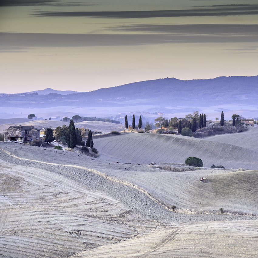 The grey soil of the Crete Senesi