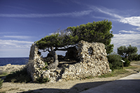 DSC_3876-850-TorrediSalim
