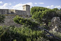 DSC_3887-8750-CastillodeSantJordi