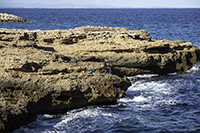 DSC_3888-850-coast