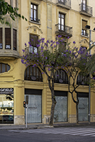 DSC_4814-575h-Tortosa-street