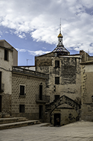 DSC_4833-T575h-ortosa