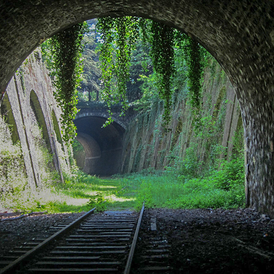 La Petite Ceinture