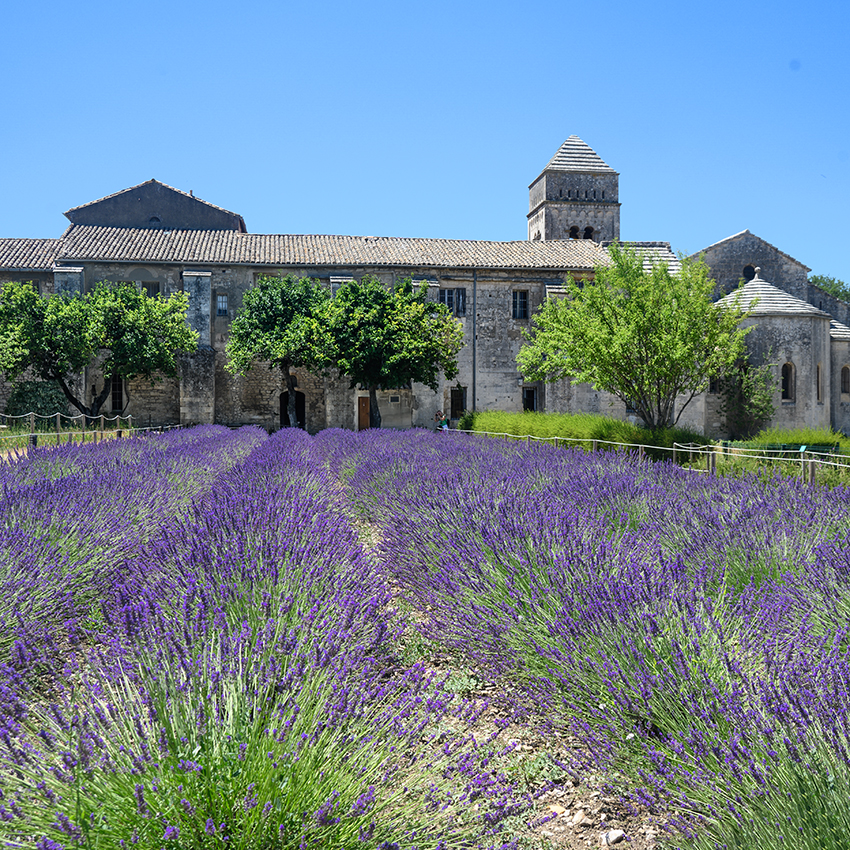 Monastery St Paul de Mausole - my travelling lens