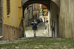 DSC_6999-850-Fossombone
